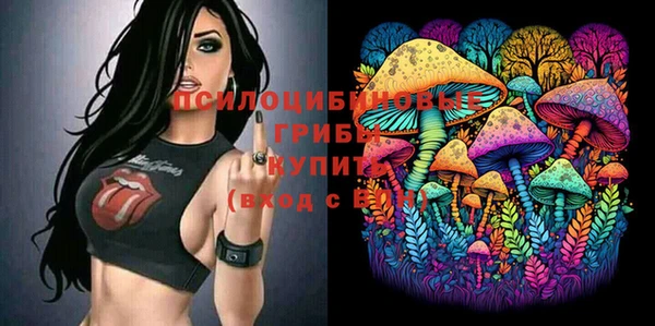 винт Алексин