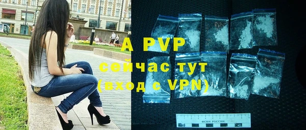 винт Алексин