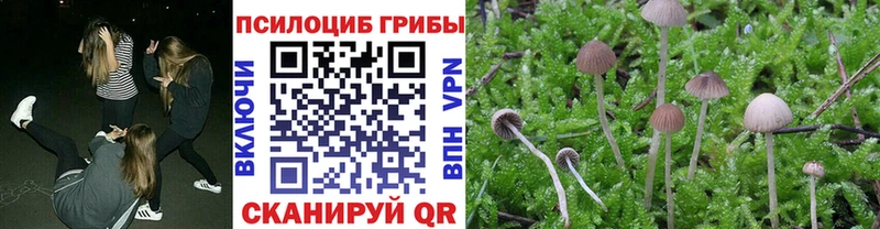 Псилоцибиновые грибы прущие грибы  ОМГ ОМГ   Мураши 