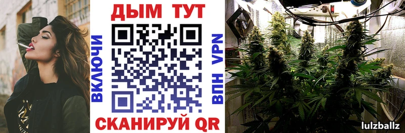 закладка  Мураши  Бошки Шишки Bruce Banner 